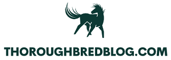 ThoroughBredBlog.com – Horse Racing Bets